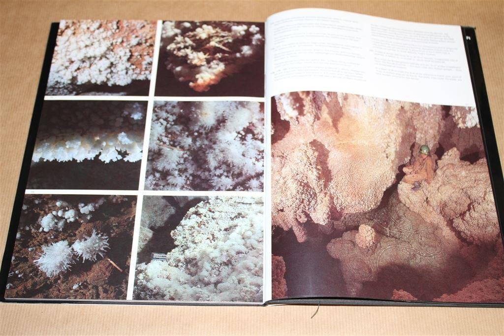 Kleurrijke wereld van grotten. Colourful world of caves., Ophalen of Verzenden, Gelezen, Vogels