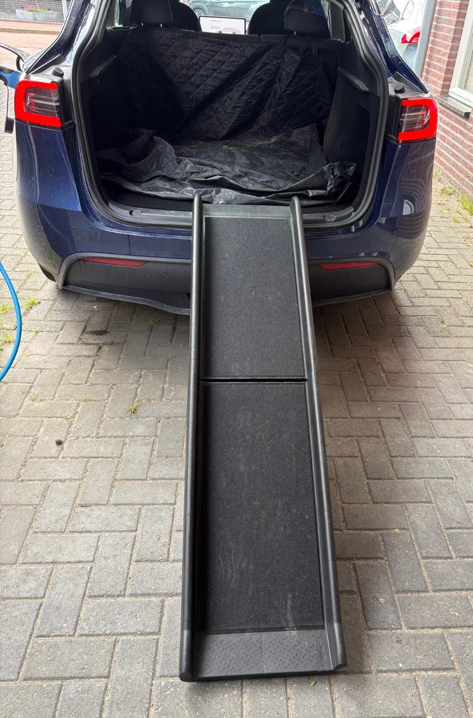 Loopplank hond - tot 90 kg - inklapbaar - kunststof - zgan, Dieren en Toebehoren, Honden-accessoires, Ophalen, Zo goed als nieuw