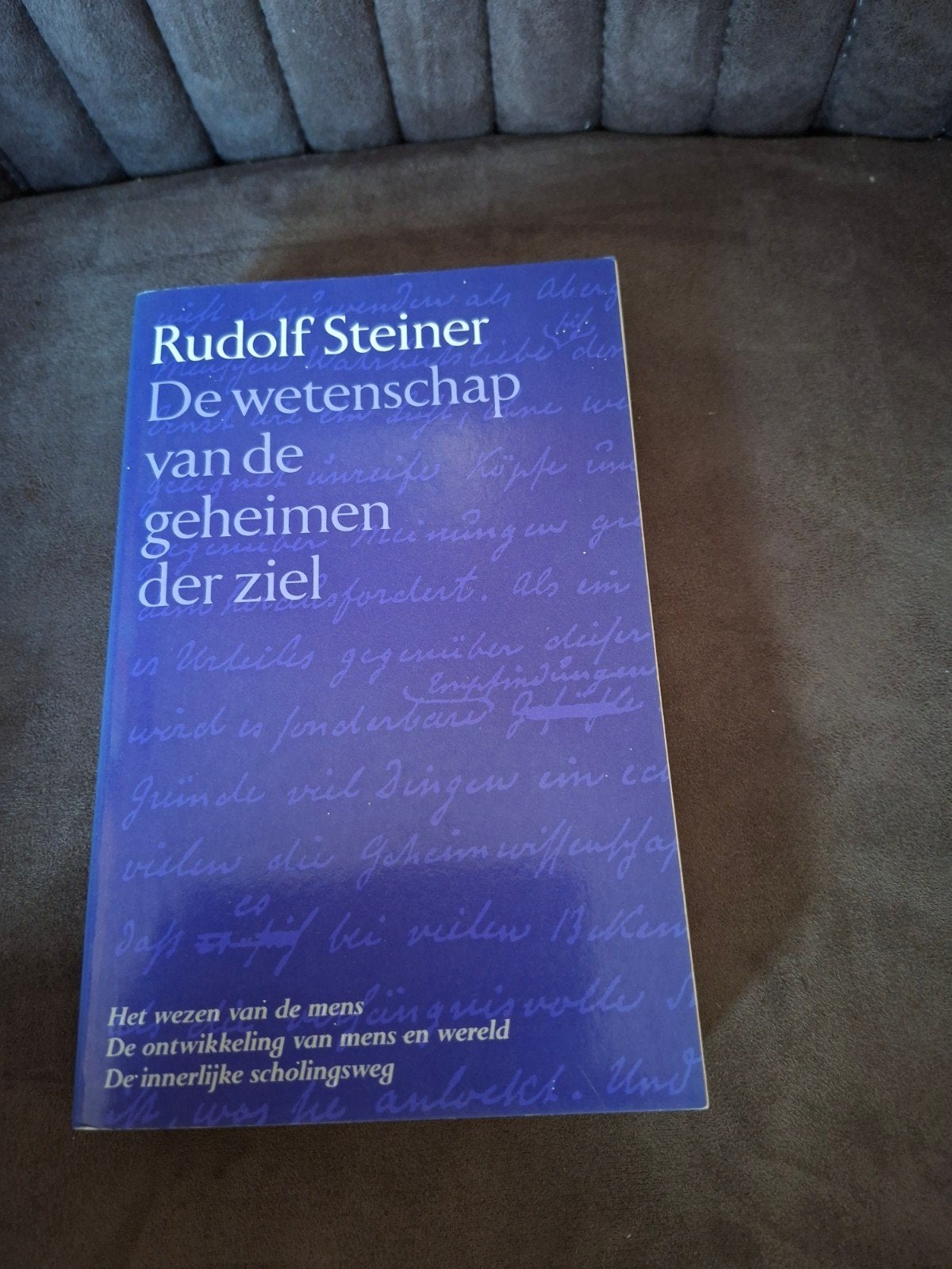 Rudolf Steiner - De wetenschap van de geheimen der ziel, Boeken, Gelezen, Achtergrond en Informatie, Spiritualiteit algemeen, Ophalen of Verzenden