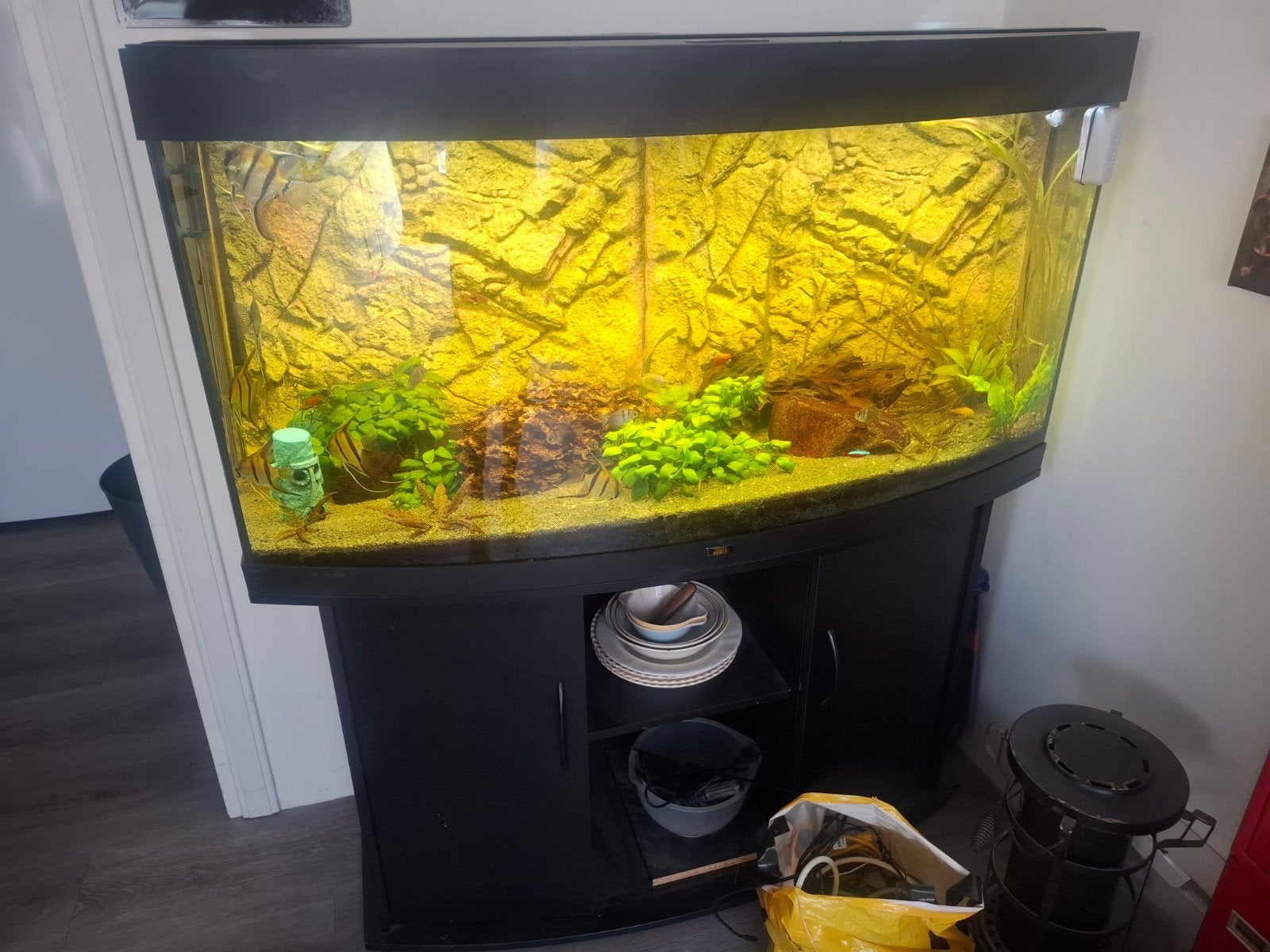 Aquarium 120cm, Ophalen, Gebruikt, Inclusief vissen, Gevuld zoetwateraquarium