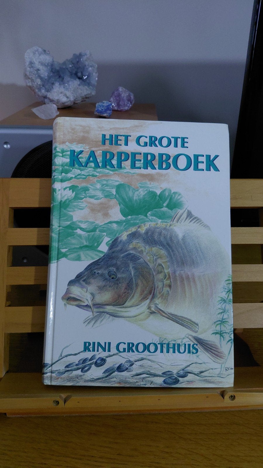 Het Grote Karperboek - Rini Groothuis, Ophalen of Verzenden, Gelezen, Rini Groothuis, Watersport en Hengelsport