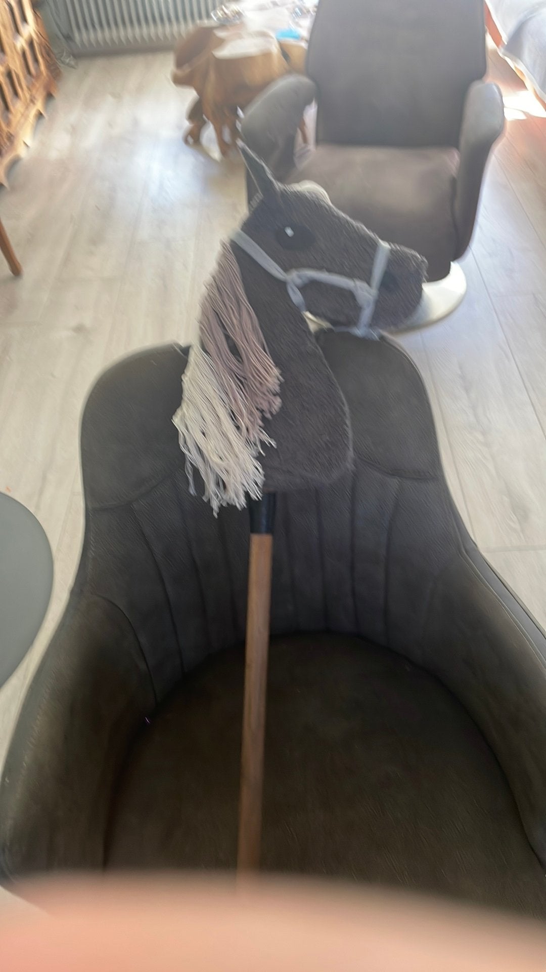 Hobby horse, Ophalen of Verzenden, Zo goed als nieuw