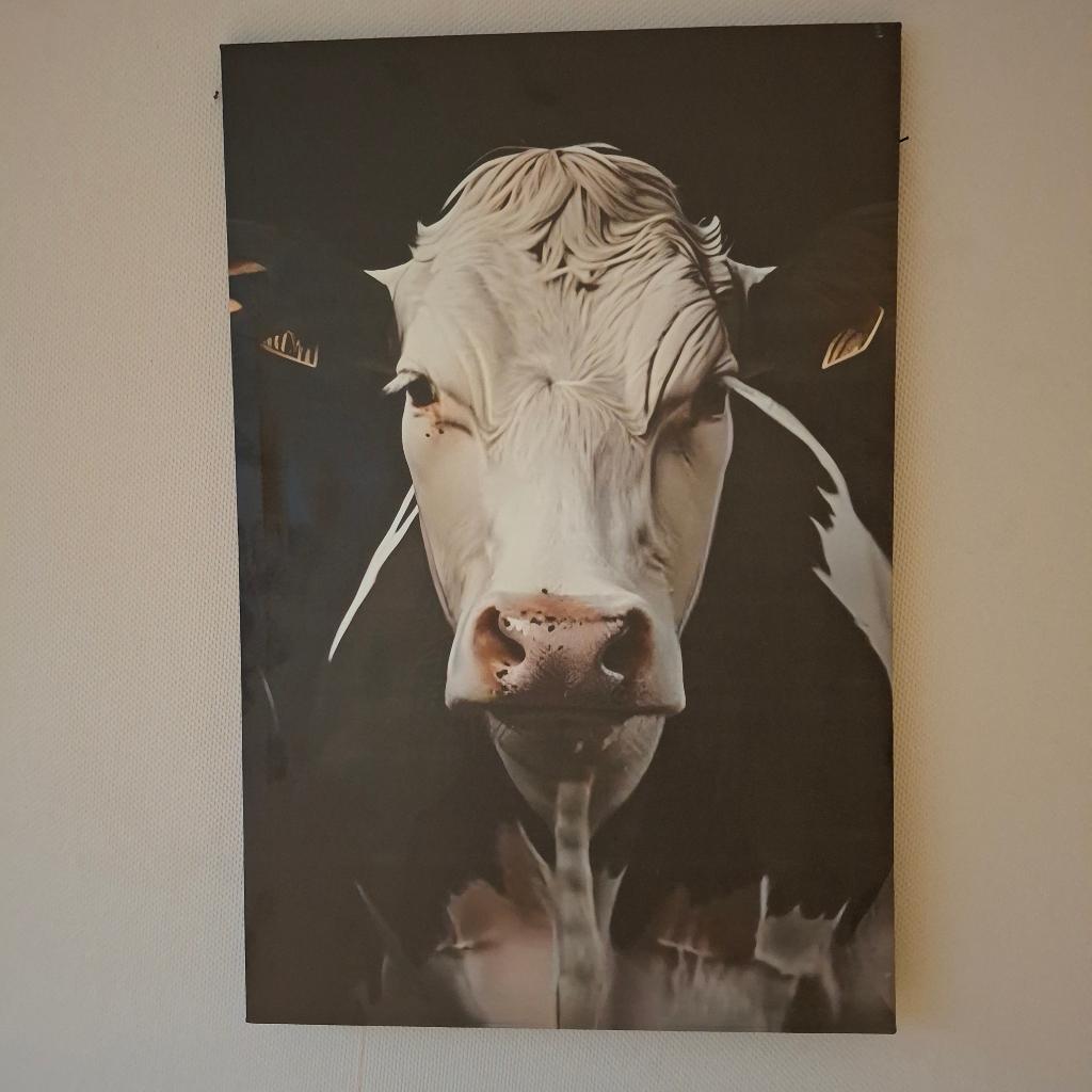 Koeien op Canvas, 50 tot 75 cm, Nieuw, Ophalen of Verzenden, Schilderij