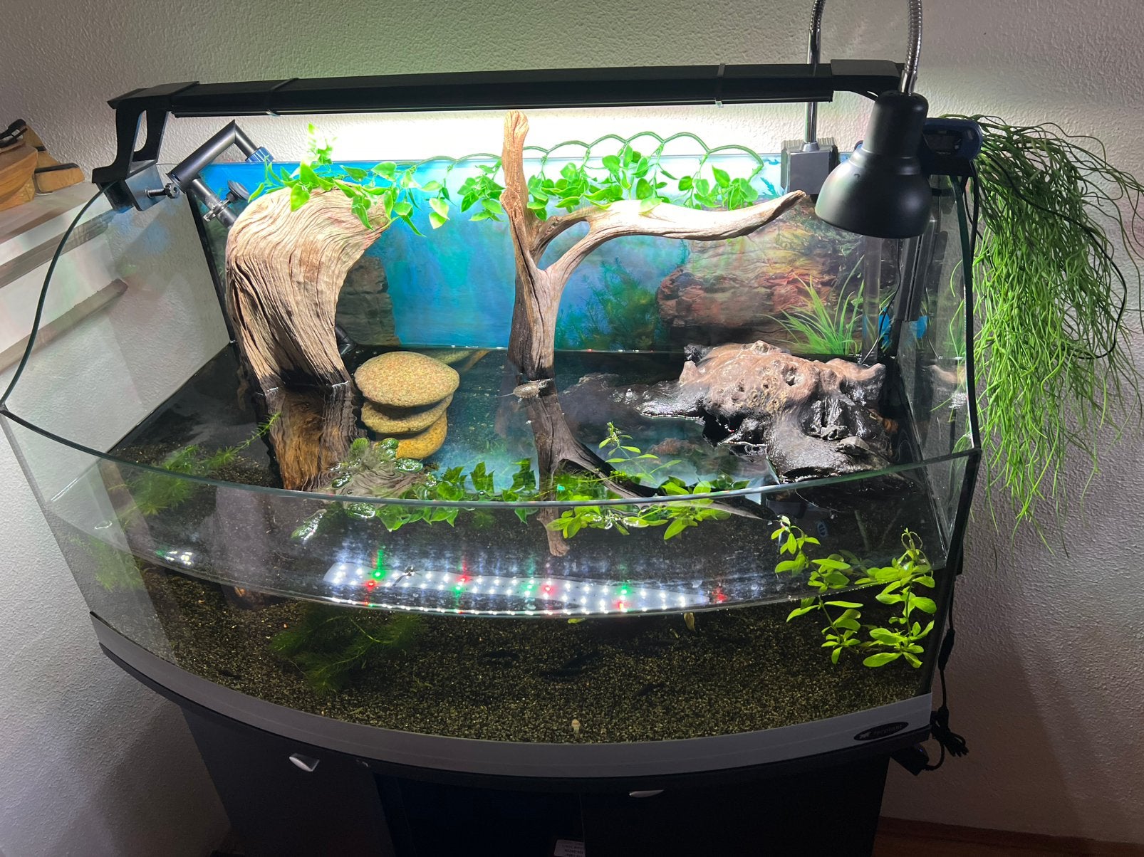 Schildpadden Aqua/terrarium, Dieren en Toebehoren, Ophalen, Zo goed als nieuw, Terrarium of Paludarium