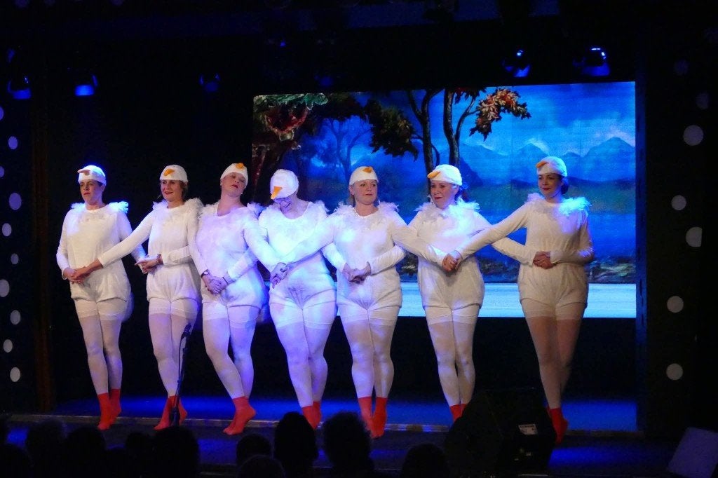 Eenden/Zwanen pakken - origineel en opvallend, Ophalen, Carnaval, Overige maten, Zo goed als nieuw