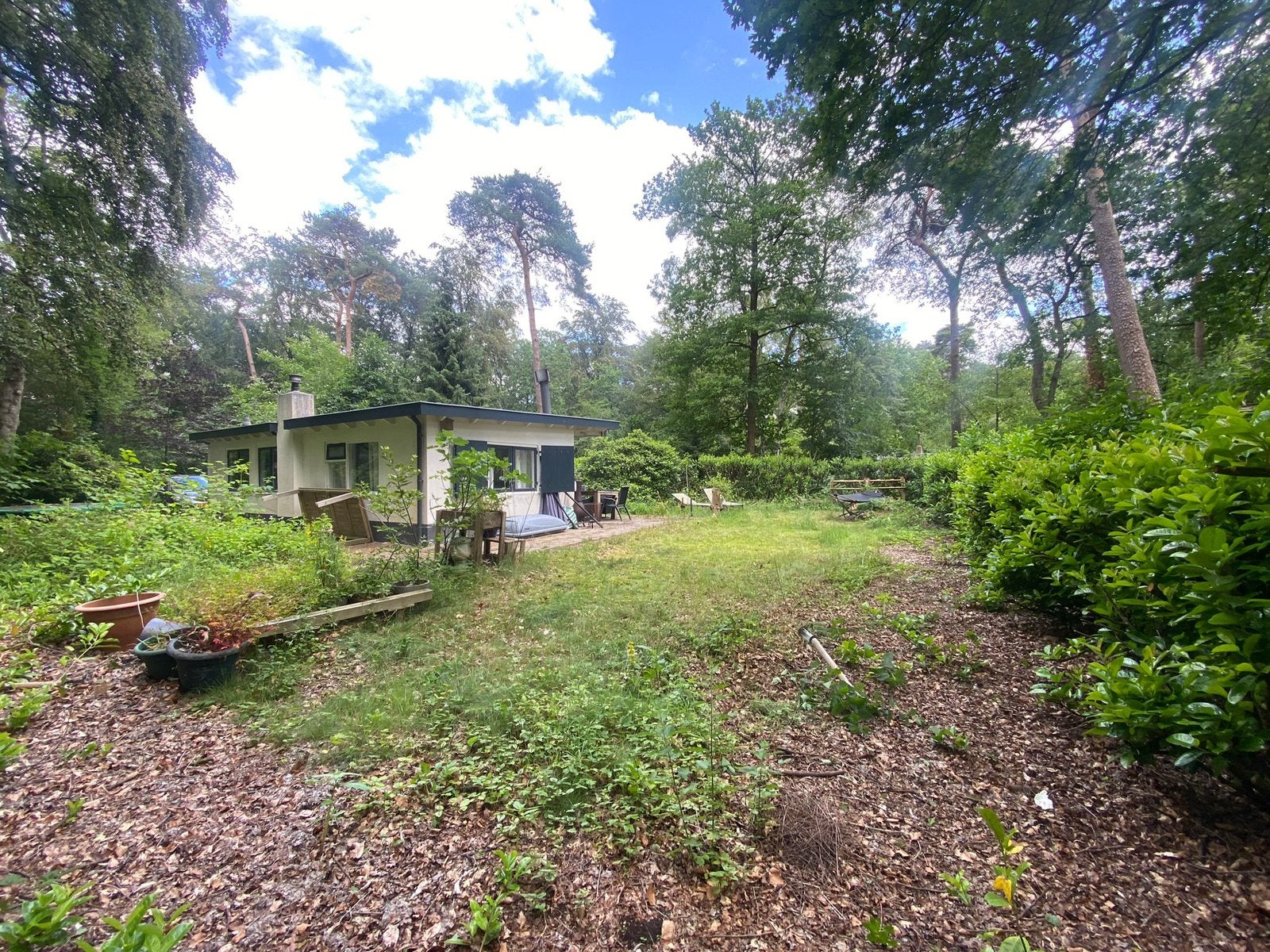 Stenen boshuisje op prachtige plek – RCN Het Grote Bos Doorn, In bos, 2 slaapkamers, Landelijk, Chalet, Bungalow of Caravan