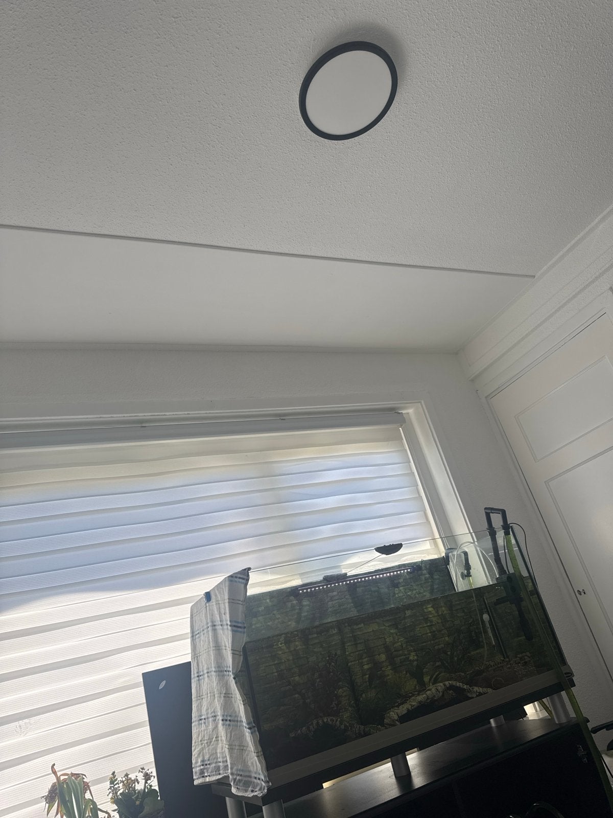 Aquaruim 240 liter met decoratie en filter, Dieren en Toebehoren, Ophalen of Verzenden, Zo goed als nieuw, Leeg aquarium