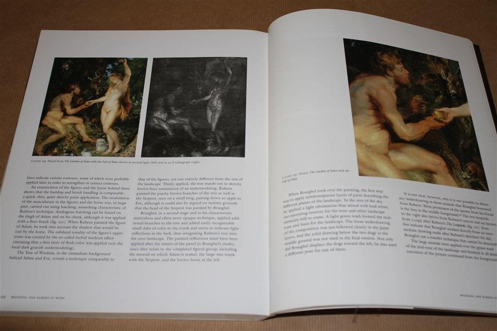 Rubens & Brueghel. A Working Friendship., Ophalen of Verzenden, Zo goed als nieuw