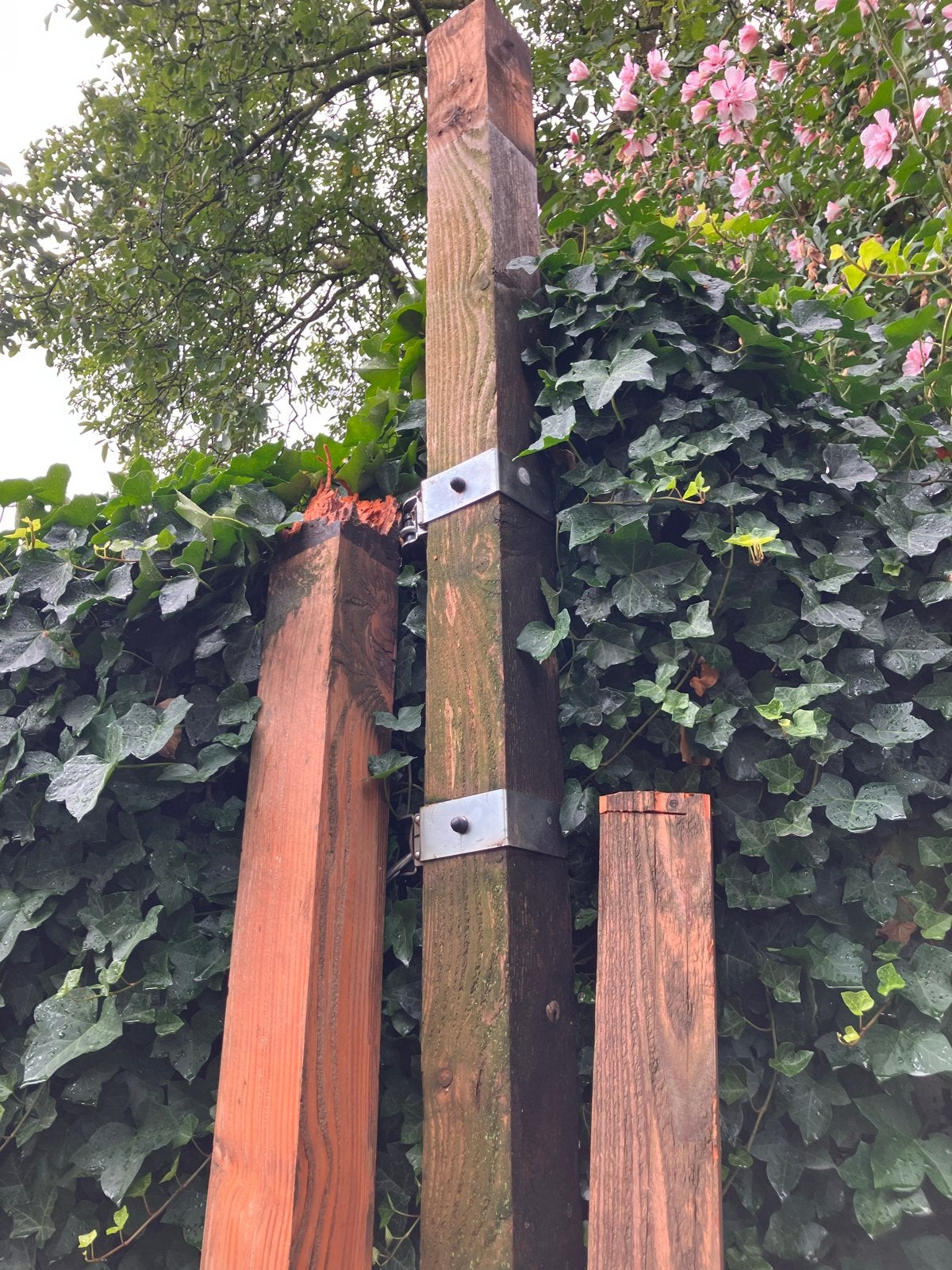 Douglas balken 12x12 cm - diverse lengtes, Doe-het-zelf en Verbouw, Hout en Planken, Ophalen, Gebruikt, Balk, Overige houtsoorten