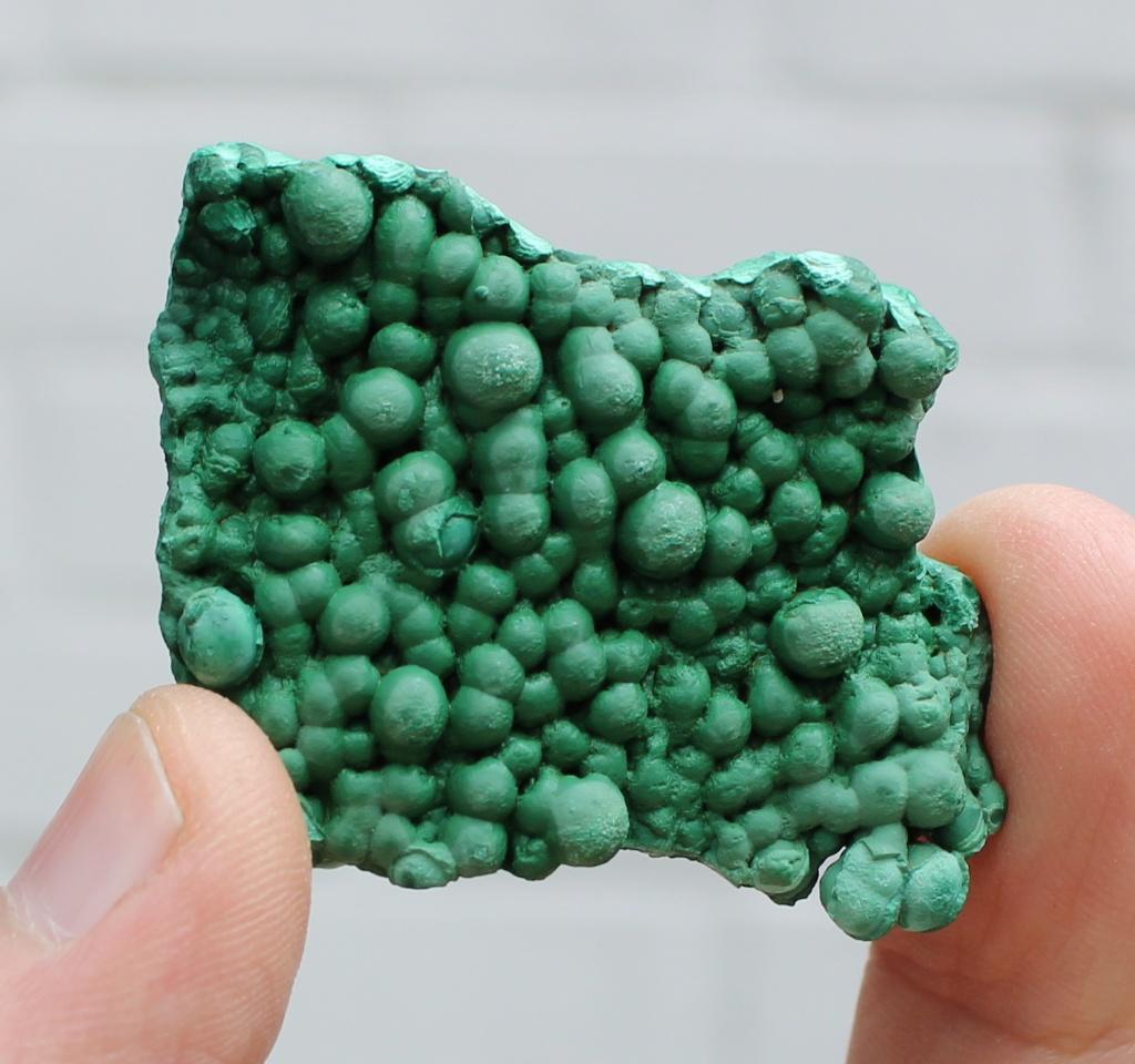 Botryoidale MALACHIET uit KOLWEZI in CONGO, Ophalen of Verzenden, Mineraal