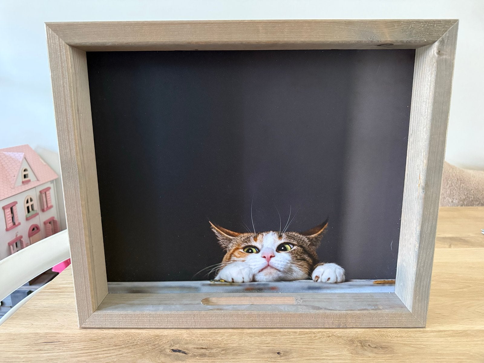 Nieuw buiten Schilderij met kat - 50x42 cm - Ingelijst, Ophalen of Verzenden, Nieuw
