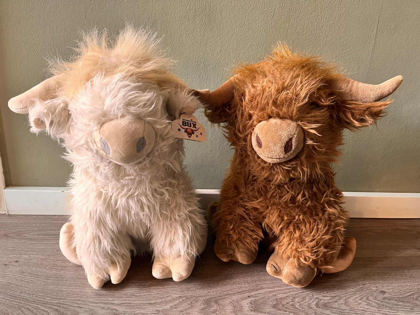 Pluche Schotse Hooglanders, Ophalen, Zo goed als nieuw, Overige typen