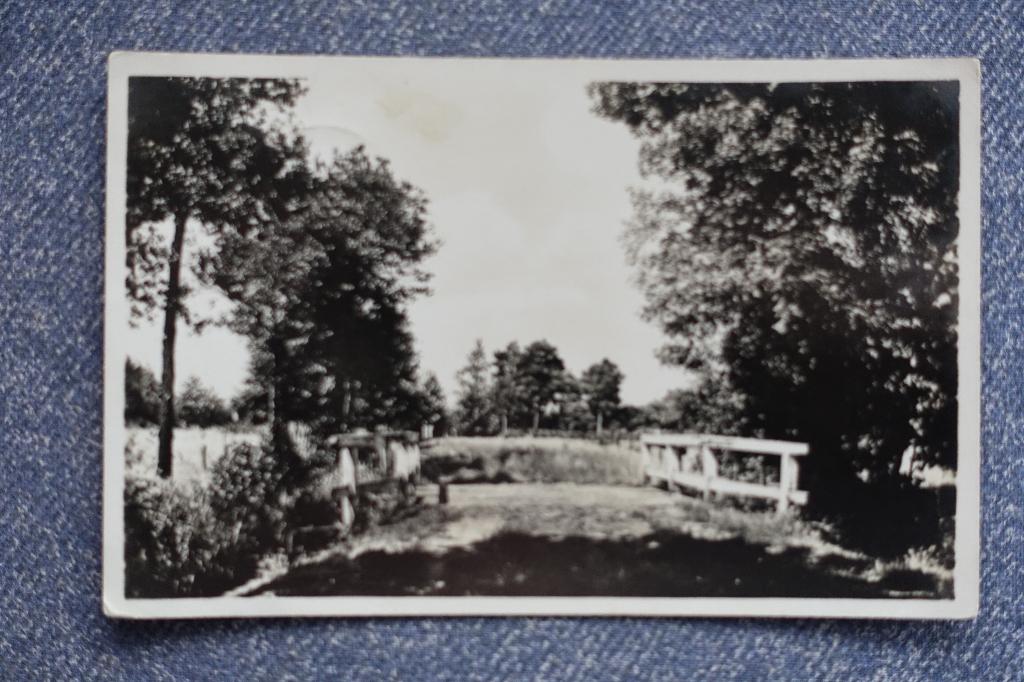 Esbeek. Brug over de beek op Dun, Landgoed De Utrecht, Verzamelen, Ophalen of Verzenden, 1940 tot 1960, Gelopen, Noord-Brabant