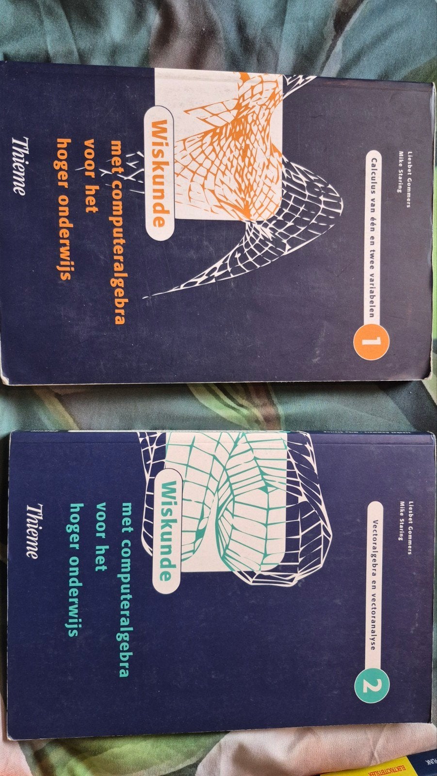 Wiskunde voor hoger onderwijs (deel 1 & 2), Gelezen, Liesbet Gommers, Mike Staring, Beta, HBO