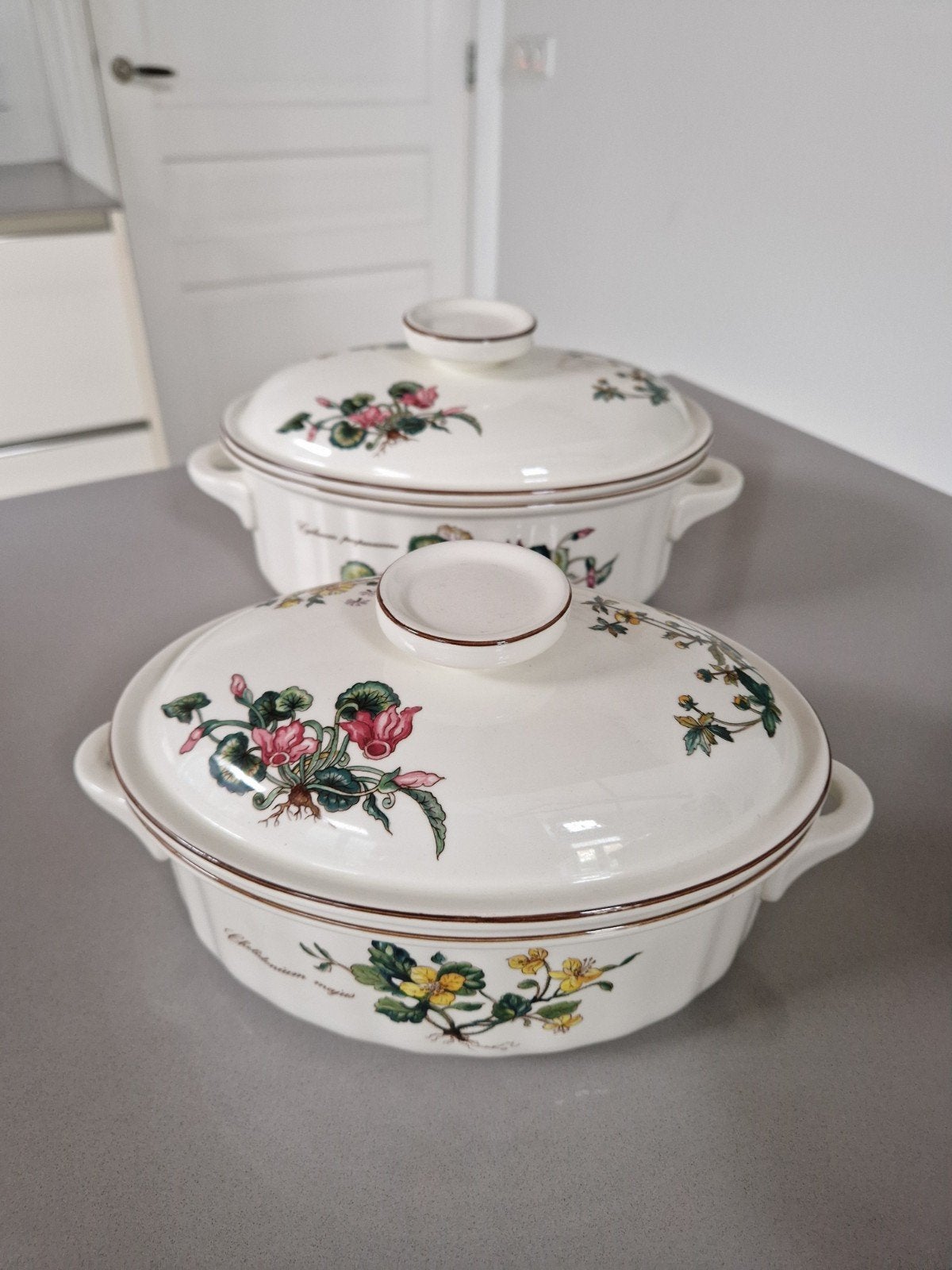 Ovale Ovenschaal Casserole Villeroy en Boch Botanica, Ophalen of Verzenden, Overige stijlen, Porselein, Schaal of Schalen