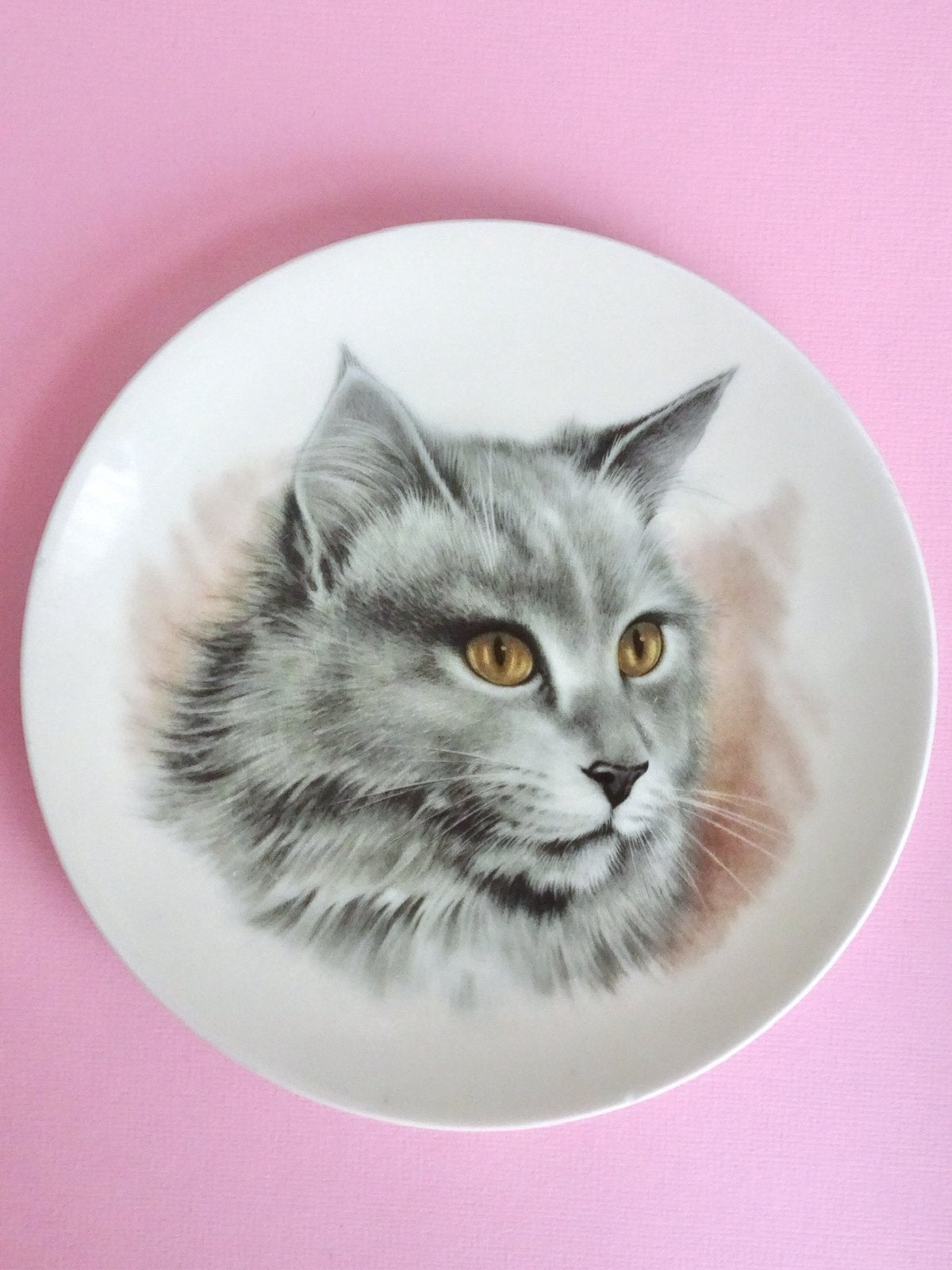 Vintage Maine Coon kat wandbord bordje porselein kitsch cat, Verzenden