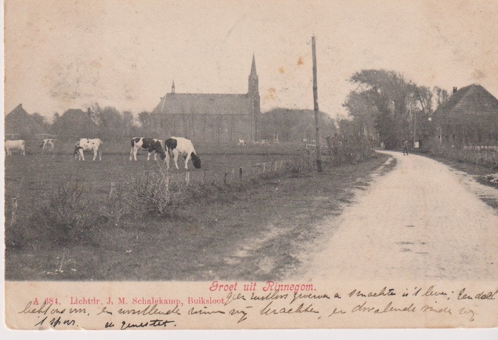 Rinnegom Egmond-Binnen Egmond 2176, Verzenden, Voor 1920, Gelopen, Noord-Holland