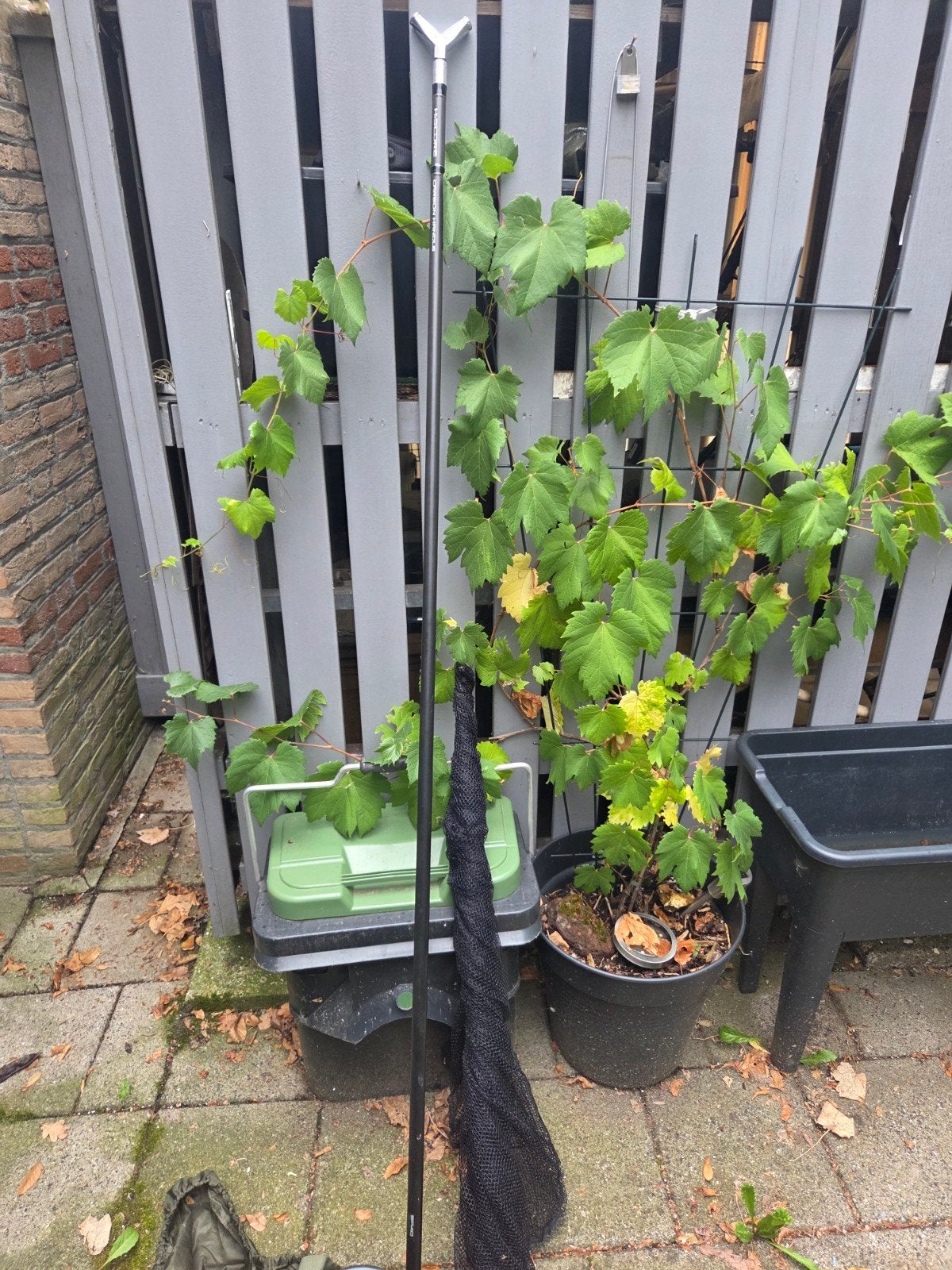 karper schepnet  80cm bij 80cm, Ophalen, Gebruikt, Net of Fuik
