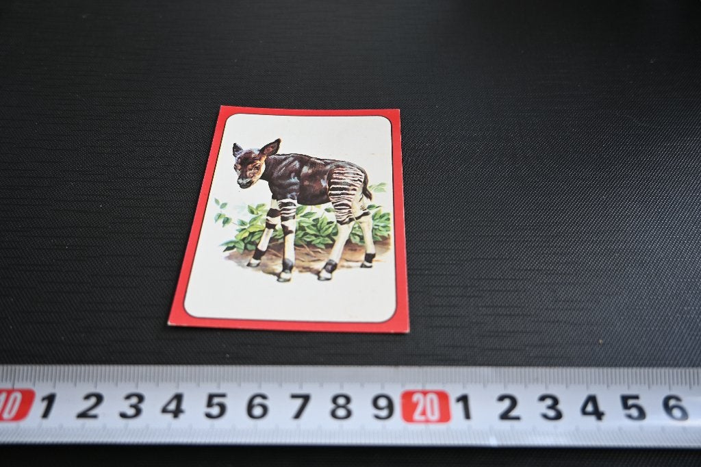 sticker panini baby zoo # 12 okapi, Ophalen, Zo goed als nieuw