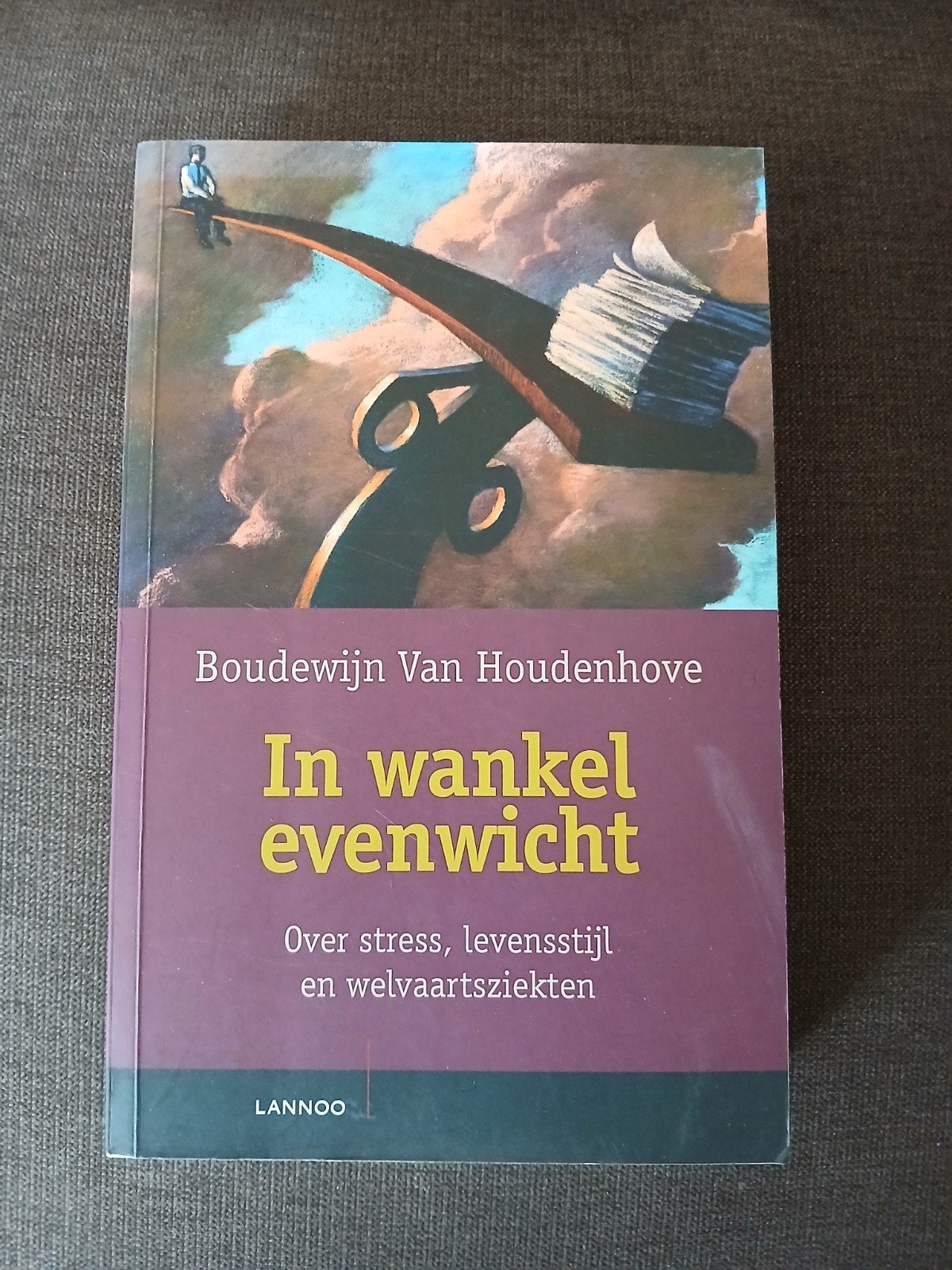 In wankel evenwicht Boudewijn Van Houdenhove, Ophalen of Verzenden, Zo goed als nieuw
