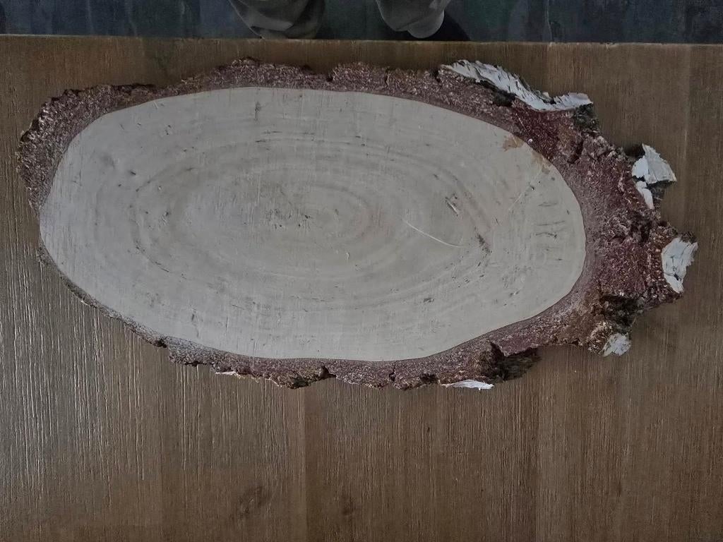boomstam schijf 32cm   (w2, Ophalen of Verzenden, Zo goed als nieuw, Rond, Hout