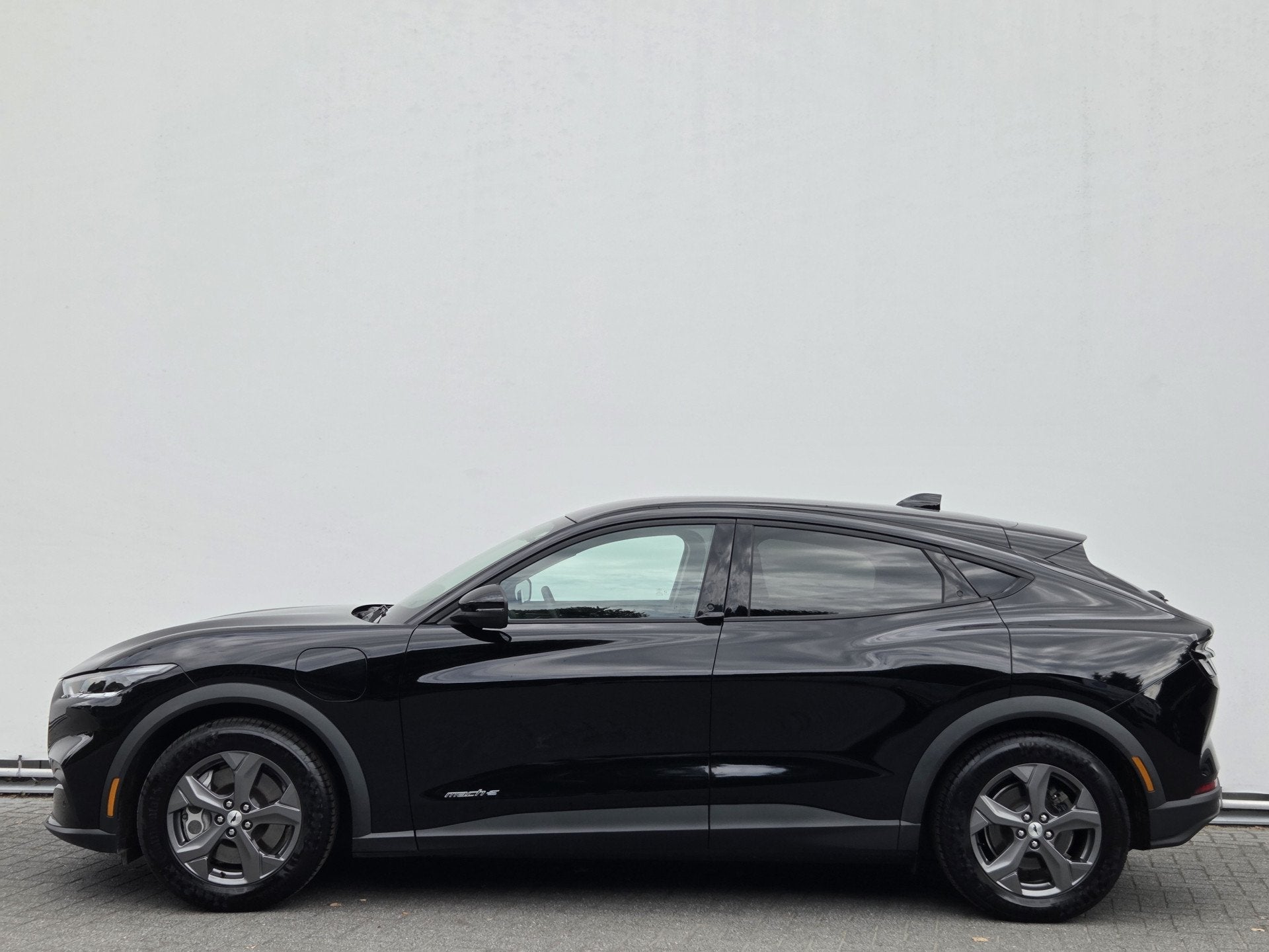 Ford Mustang Mach-E RWD 75 kWh SOH 98% Adaptive Cruise Contr, Gebruikt, 40 min, Zwart, 1944 kg