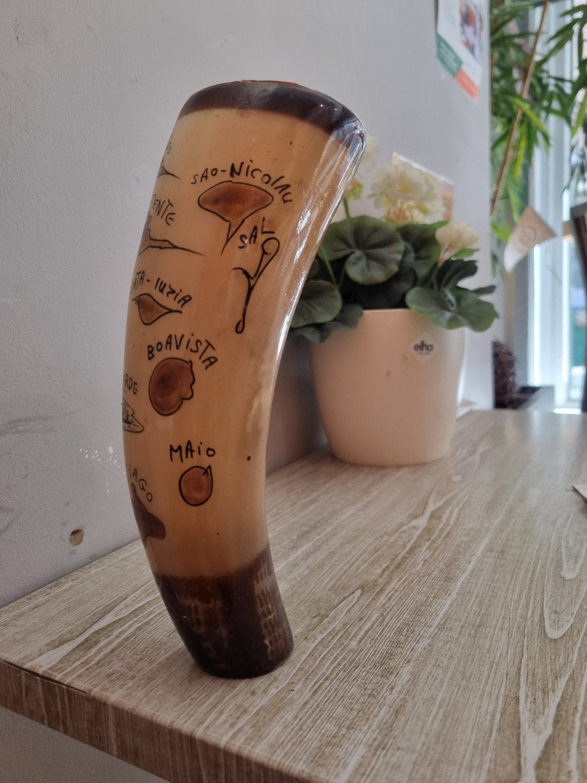 drinkvat gemaakt van een hoorn, afkomstig uit Kaapverdië., Ophalen of Verzenden, Overige kleuren, Glas, Minder dan 50 cm