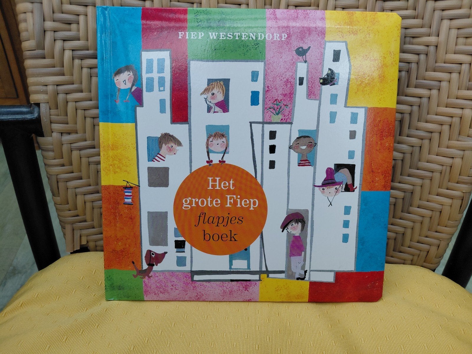 Fiep Westendorp - Het grote Fiep flapjesboek, Boeken, Ophalen of Verzenden, Zo goed als nieuw, Fiep Westendorp