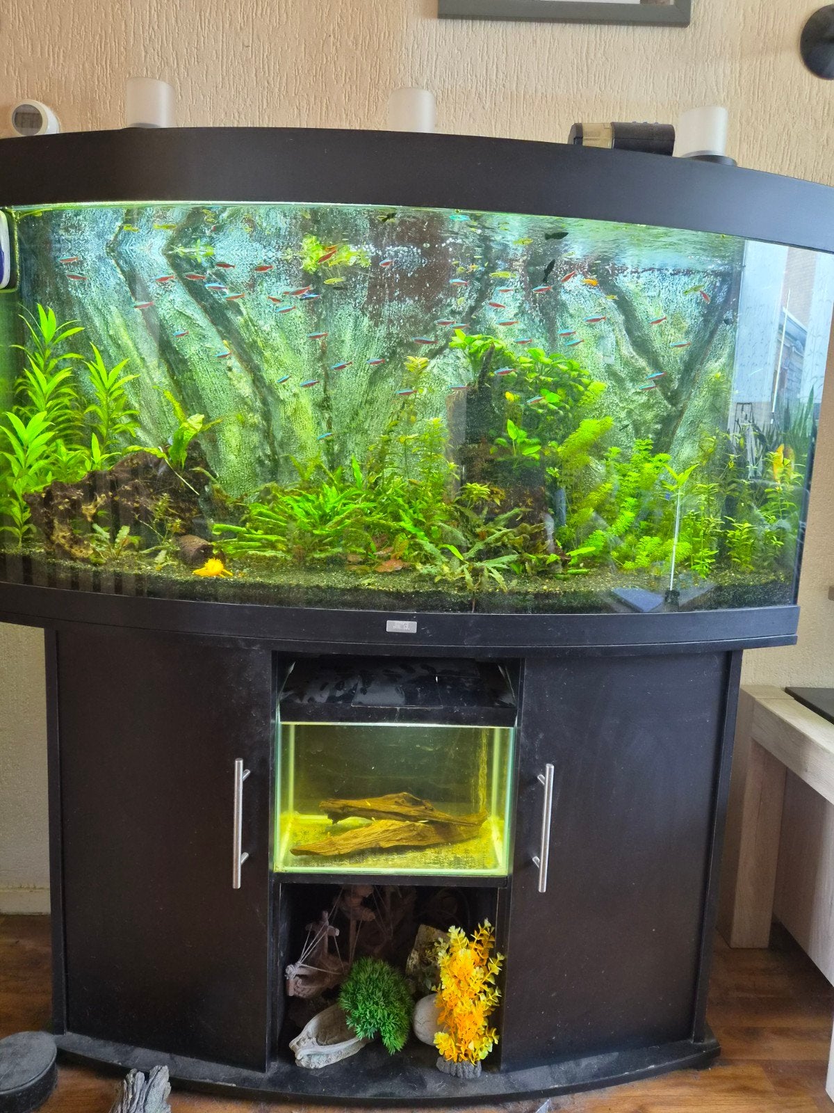 Compleet aquarium., Ophalen, Zo goed als nieuw, Gevuld zoetwateraquarium
