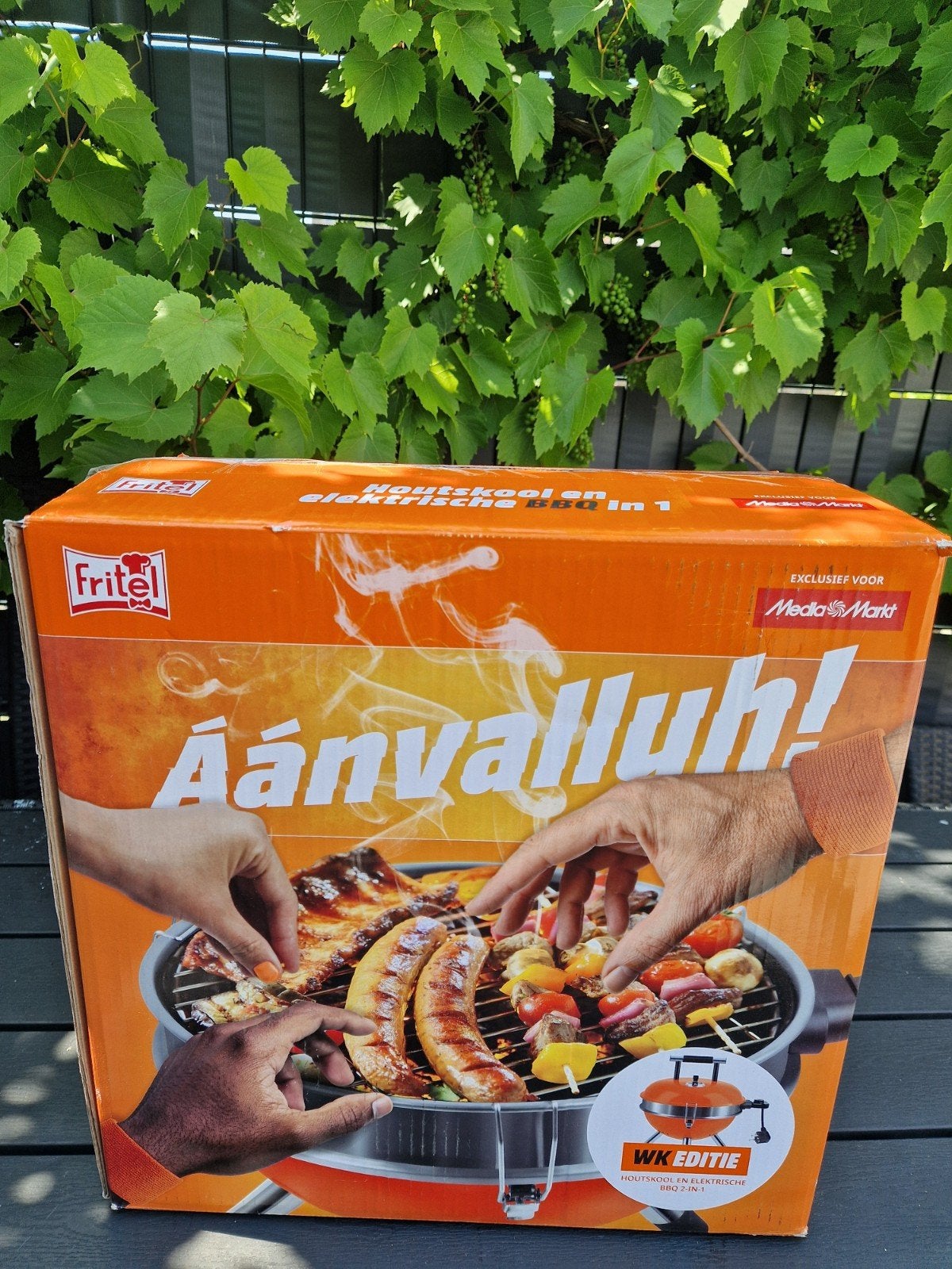 Fritel Houtskool en Elektrische BBQ 2-in-1 - Nieuw in doos, Ophalen of Verzenden, Nieuw, Fritel
