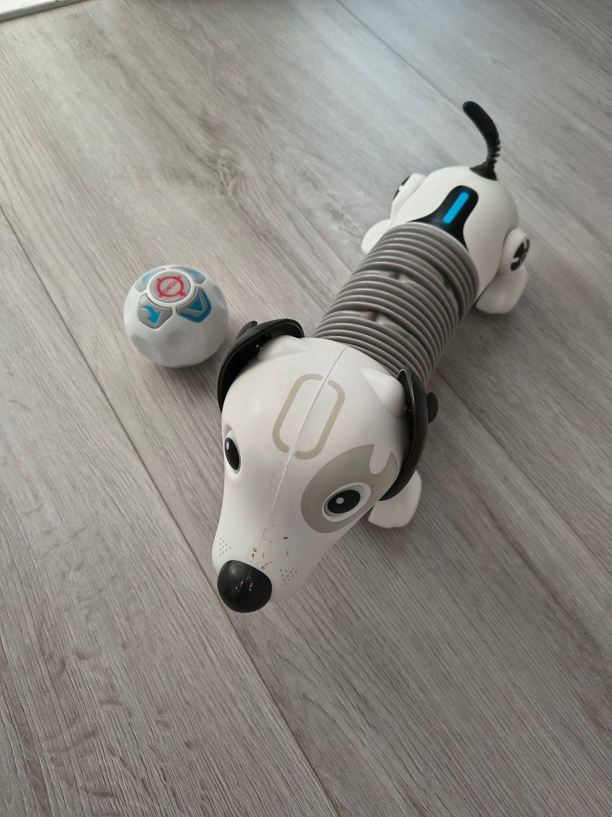 robot hond met bal, Ophalen of Verzenden, Zo goed als nieuw, Jongen of Meisje
