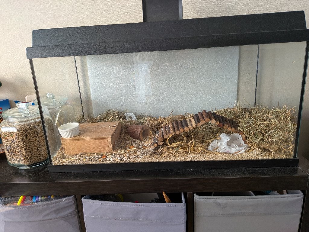 Juwel 80cm aquarium/ knaagdieren kooi, Ophalen, Gebruikt, Leeg aquarium, Juwel