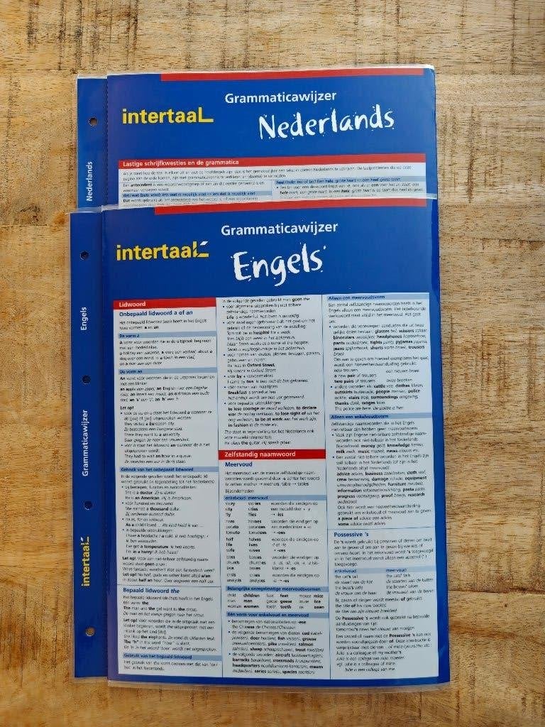 Grammaticawijzer Nederlands/Engels, Ophalen of Verzenden, Zo goed als nieuw, Van Dale, Nederlands