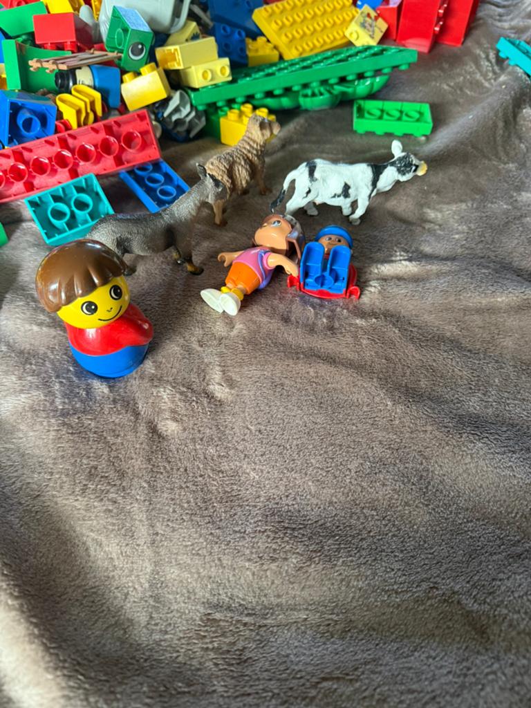 Duplo blokken, Kinderen en Baby's, Speelgoed | Bouwstenen, Ophalen, Gebruikt