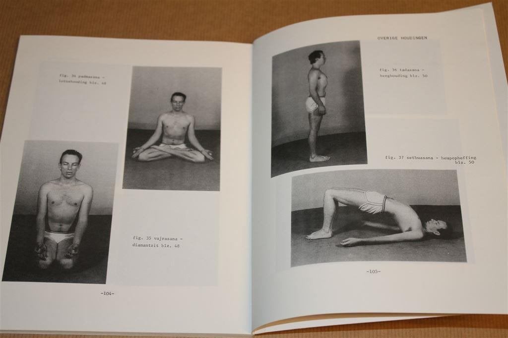 Hatha Yoga. Praktisch beginnen. Cor Thelen., Ophalen of Verzenden, Gelezen, Overige onderwerpen, Achtergrond en Informatie