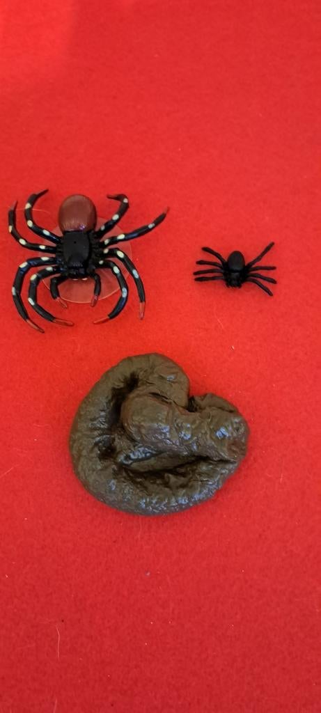 Set van fopspullen: 2 plastic spinnen en een nepdrol., Ophalen of Verzenden, Nieuw, Halloween of Griezel