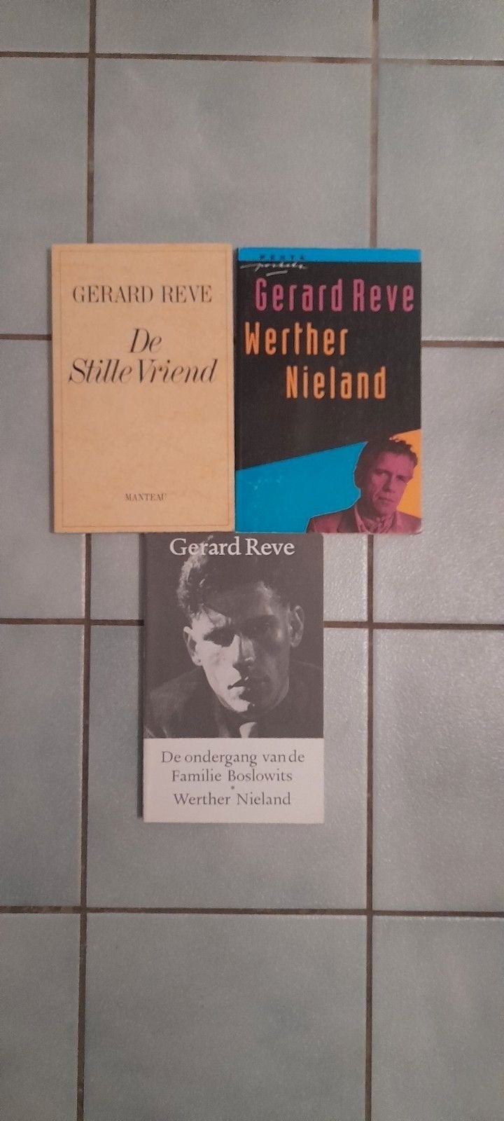 Gerard Reve boeken los of samen, Ophalen of Verzenden, Zo goed als nieuw, Gerard Reve, Nederland