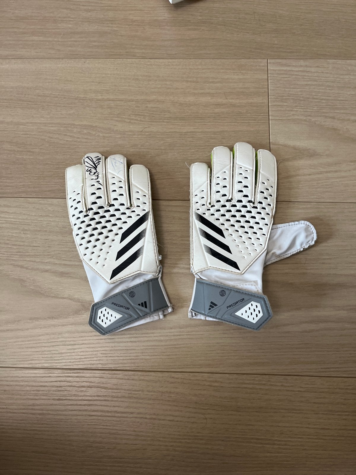 Gesigneerde Adidas Predator keepershandschoenen, Ophalen of Verzenden, Gebruikt, Handschoenen