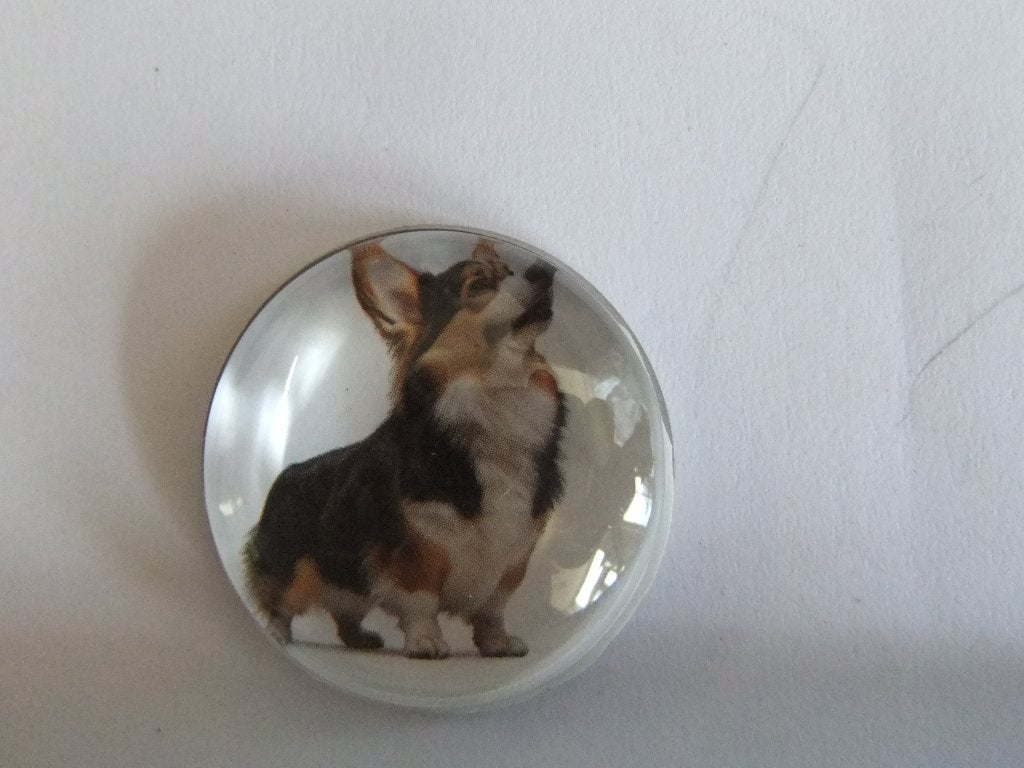 Leuke Corgi Pin / Speldje - Hondenliefhebber, Verzamelen, Speldjes, Pins en Buttons, Verzenden, Gebruikt, Dier of Natuur, Speldje of Pin