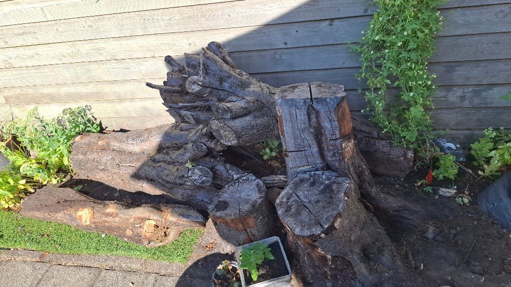 Gratis af te halen: grote stukken hout/stammen, Minder dan 3 m³, Ophalen, Overige houtsoorten, Stammen