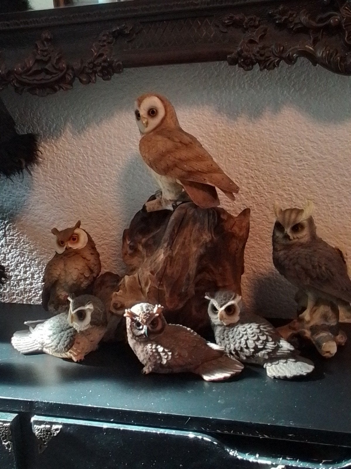 Prachtige Uilen Familie op Boomstam - Heel Mooi en Gaaf, Ophalen of Verzenden, Bruin, Steen/keramiek, Landelijk