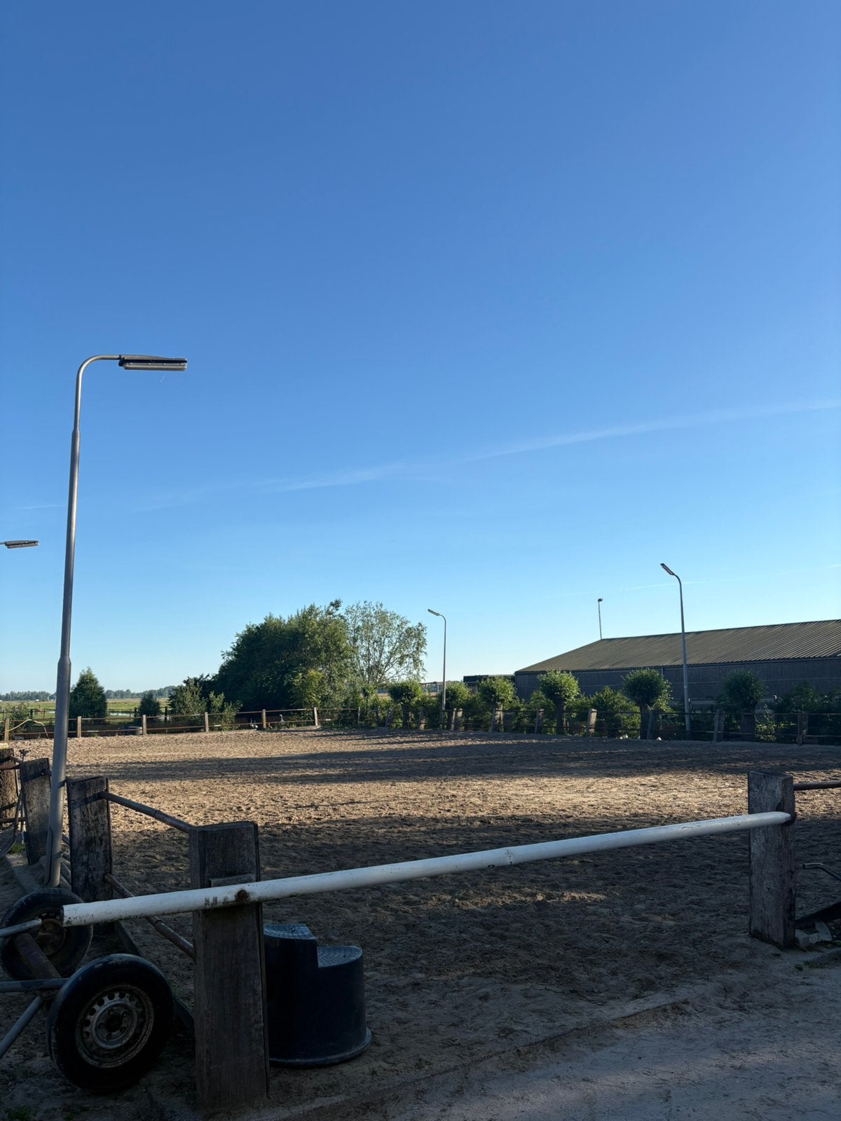 Per direct stalling aangeboden!, Dieren en Toebehoren, Stalling en Weidegang, Weidegang