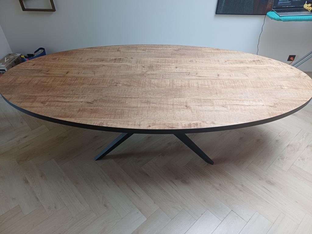 Grote eettafel 250cm x 128cm, Huis en Inrichting, Tafels | Eettafels, Ophalen, Ovaal, 200 cm of meer, 100 tot 150 cm