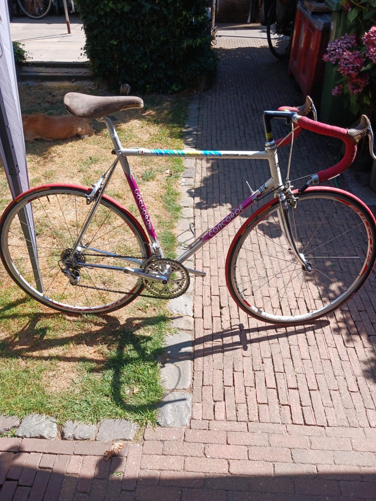 Concorde retro racefiets, Fietsen en Brommers, 55 tot 59 cm, Ophalen