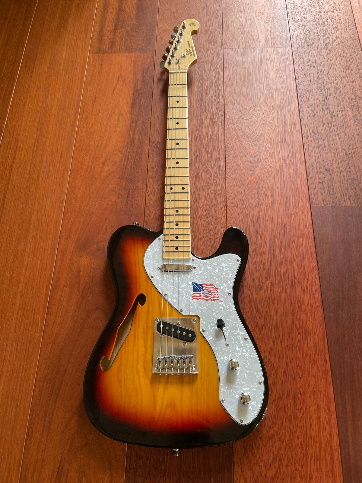 SX Custom Handmade VTG Series Semi-Hollow Body Gitaar, Muziek en Instrumenten, Ophalen, Zo goed als nieuw, Semi-solid body, Overige merken