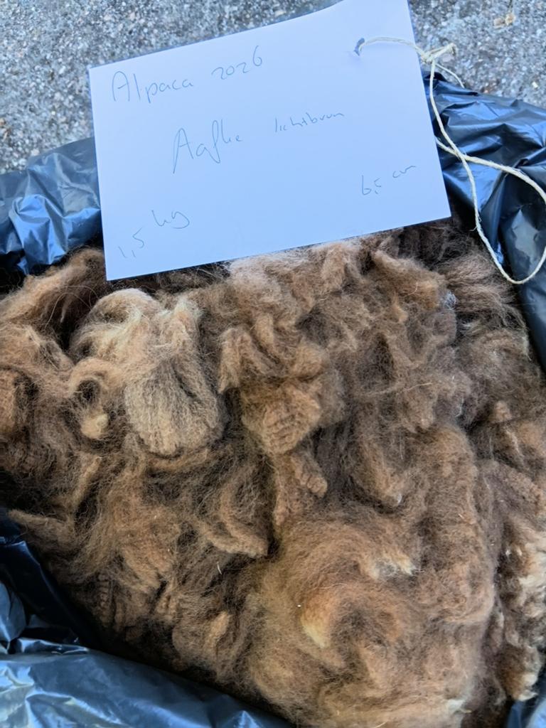 Bruine alpaca vacht van Aafke, superzacht met veel crimp, Ophalen of Verzenden, Nieuw, Spinwol