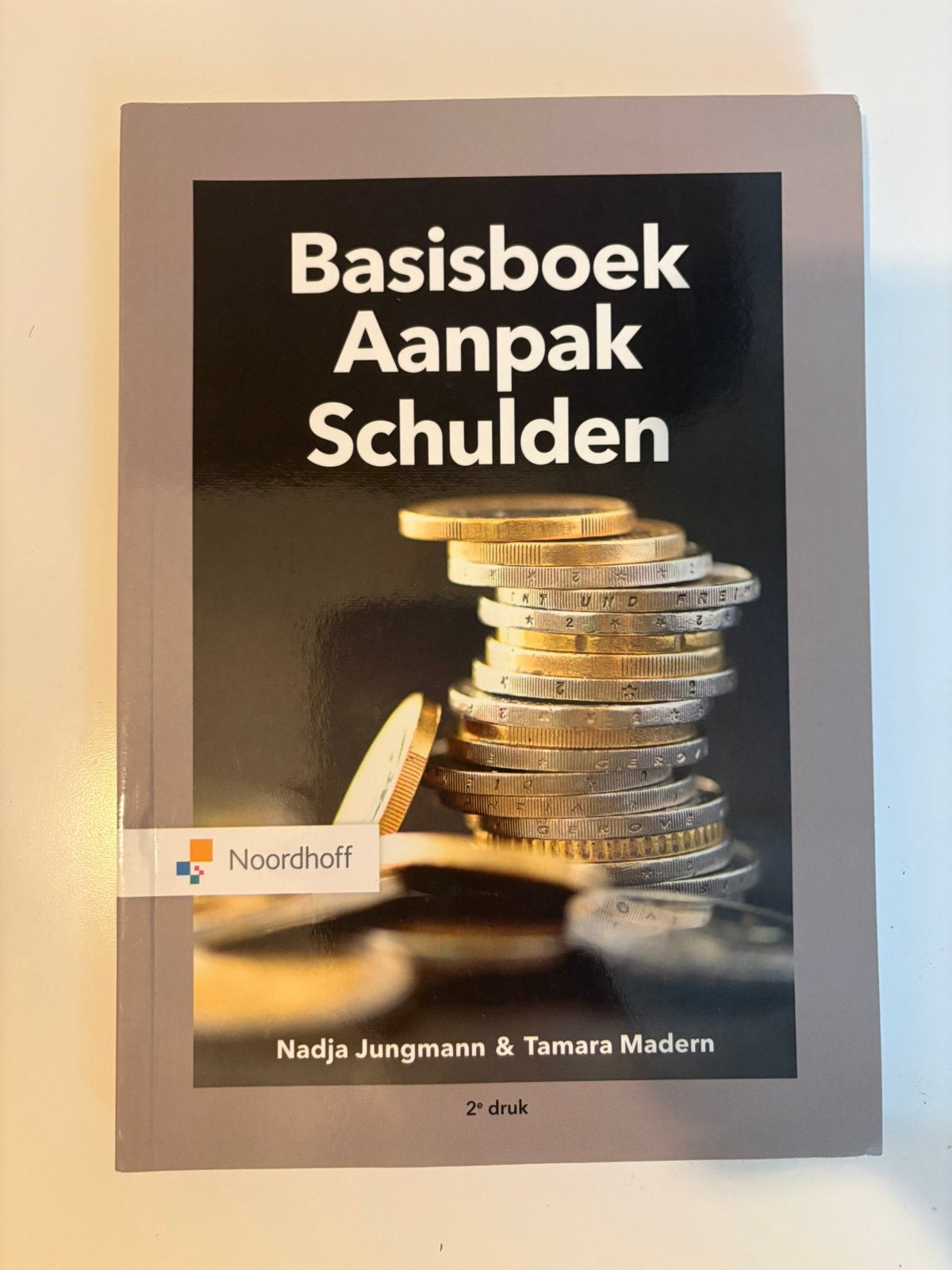 Nadja Jungmann - Basisboek aanpak schulden, Sociale wetenschap, Ophalen of Verzenden, Zo goed als nieuw, Nadja Jungmann; Tamara Madern