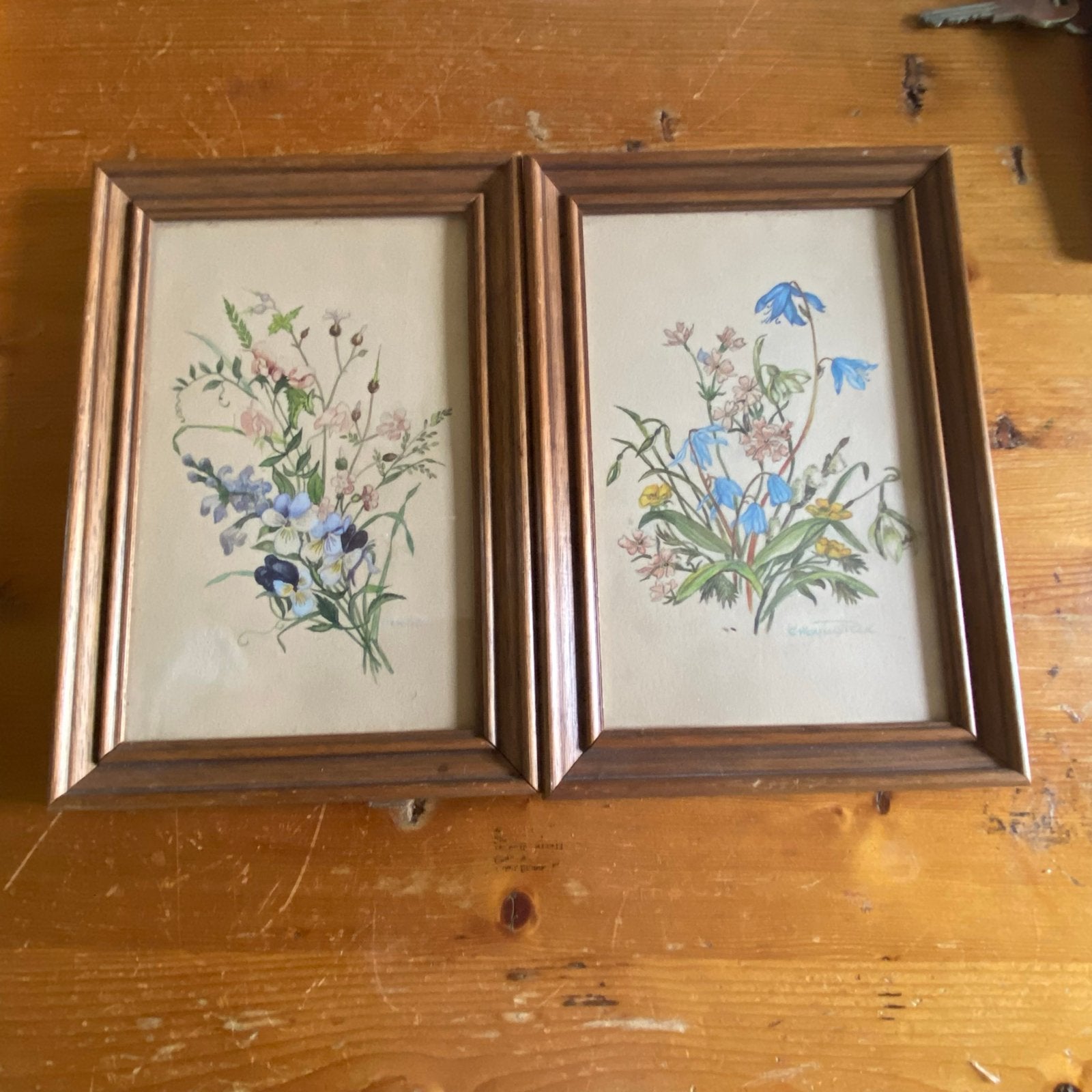 Set van 2 ingelijste botanische prints - bloemen, Ophalen, Print, Prent, Achter glas