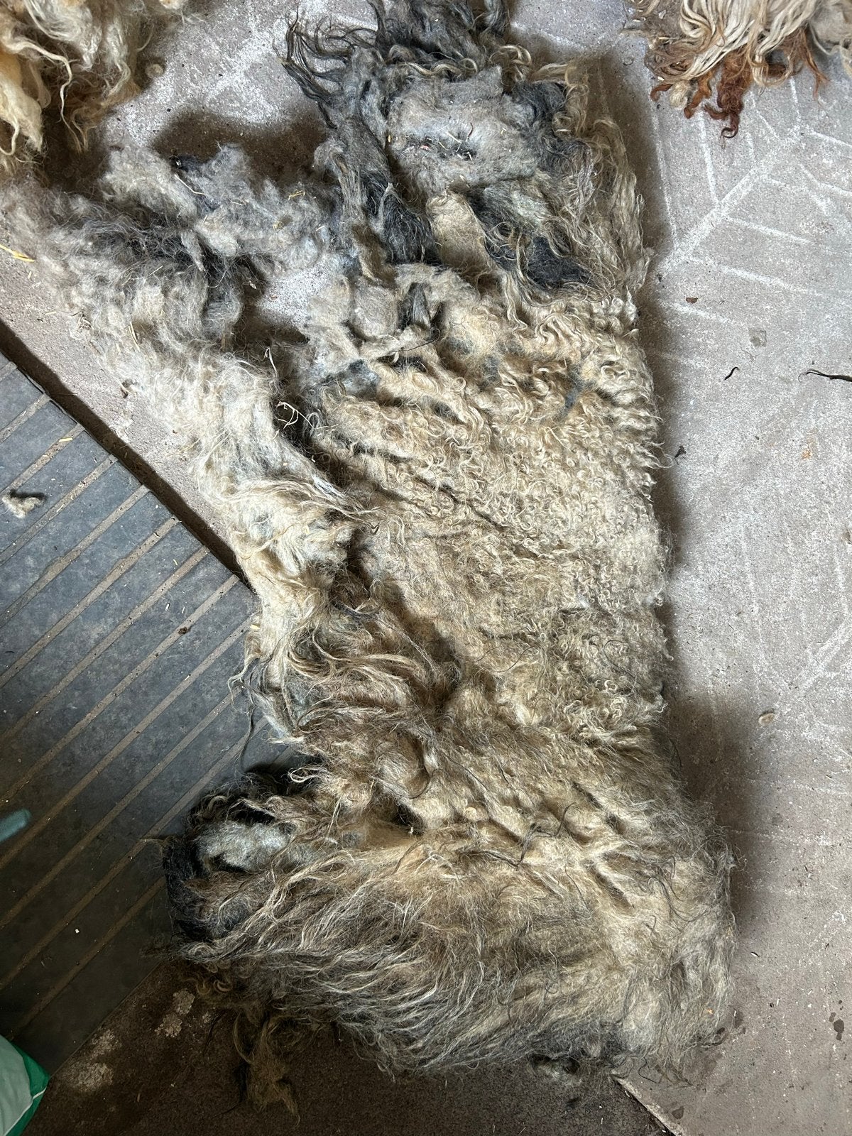 Racka vacht om te vilten - uniek knutselmateriaal, Ophalen, Gebruikt, Meerkleurig, Natuurlijk materiaal