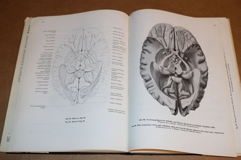 Vintage Anatomische Atlas [1972] — Zenuw- & Vaatstelsel, Ophalen of Verzenden, Gelezen, Natuurwetenschap